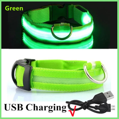 USB Rechargeable Luminous for Large Small Dogs Cat Night Light Collar