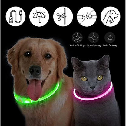 USB Rechargeable Luminous for Large Small Dogs Cat Night Light Collar