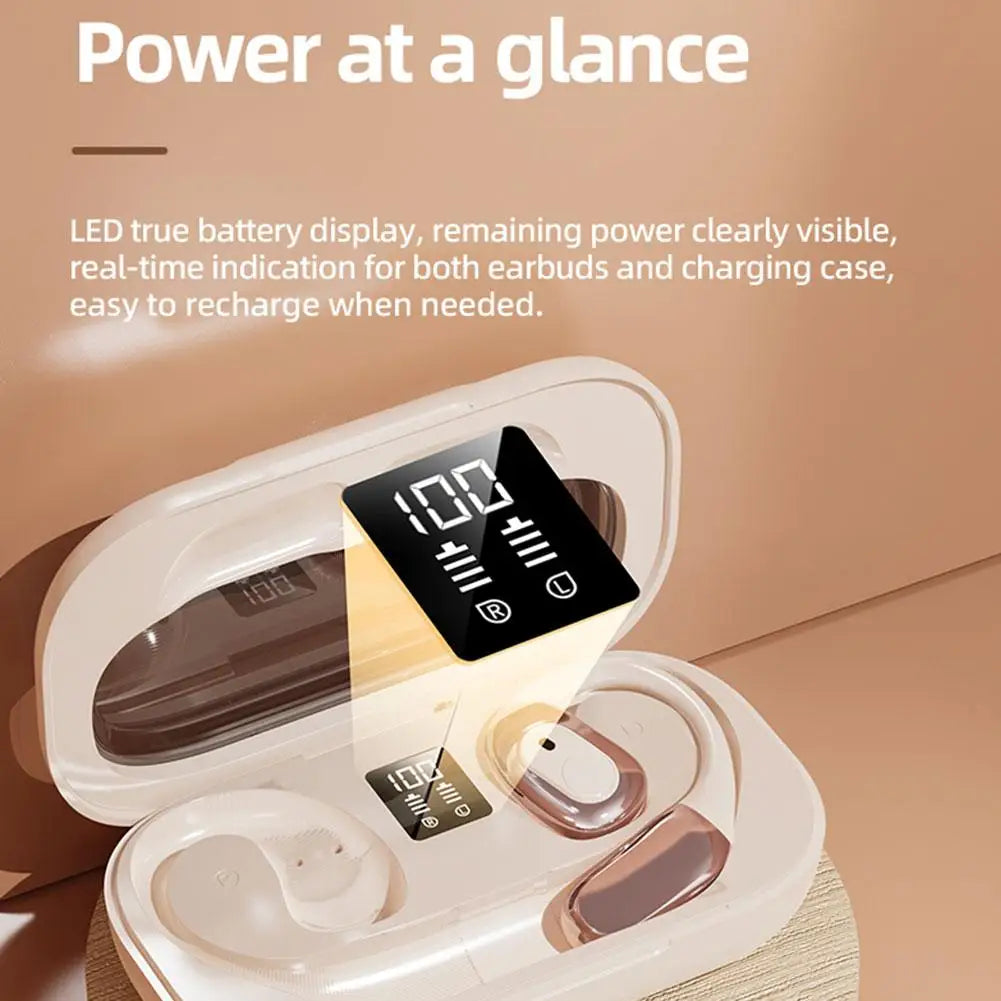 Translator Earbuds Intelligent Device Online 138 Languages,  Bluetooth, Smart Voice Real Time