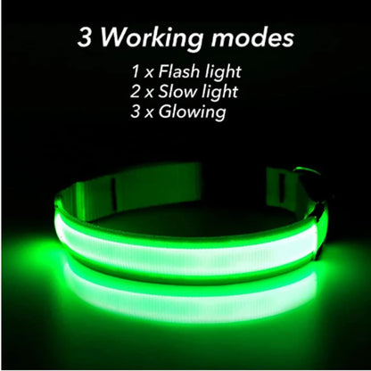 USB Rechargeable Luminous for Large Small Dogs Cat Night Light Collar
