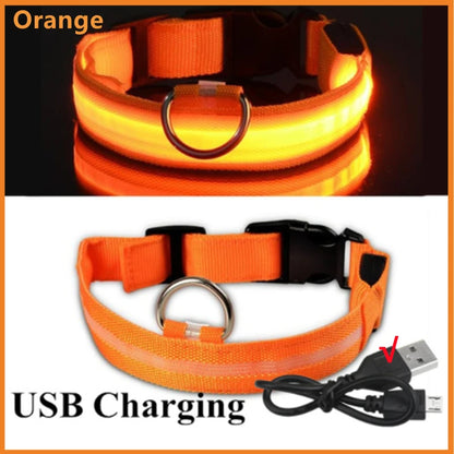 USB Rechargeable Luminous for Large Small Dogs Cat Night Light Collar