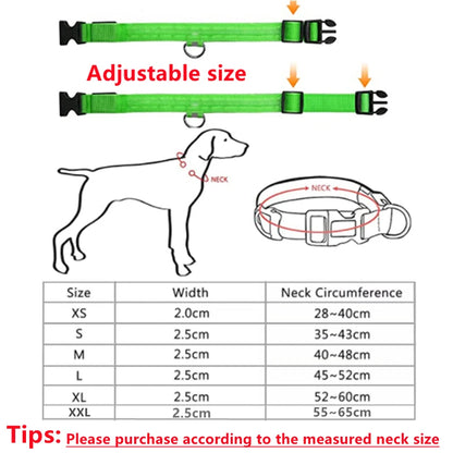 USB Rechargeable Luminous for Large Small Dogs Cat Night Light Collar